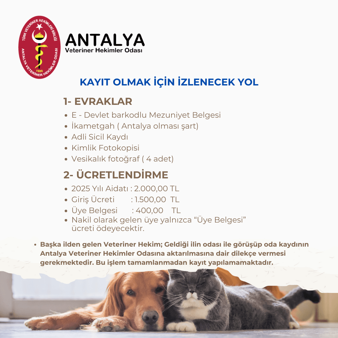 Üyelik Şartları